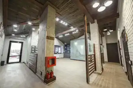 Ель - 2
