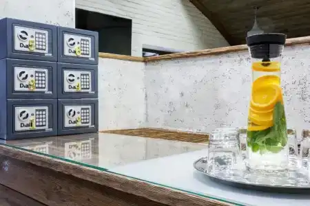 Ель - 3
