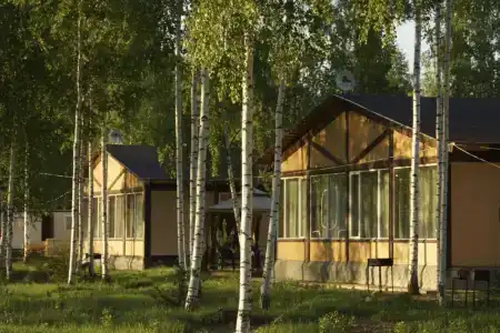 Лесной берег - 1