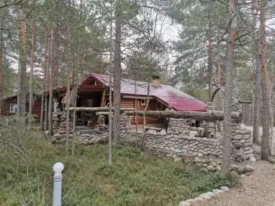 Karju Kala - 17