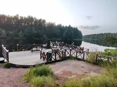 Karju Kala - 20