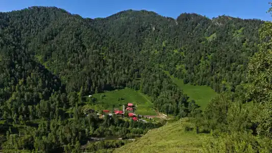 Шале Леший - 5