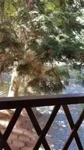 Дом мечты - 24