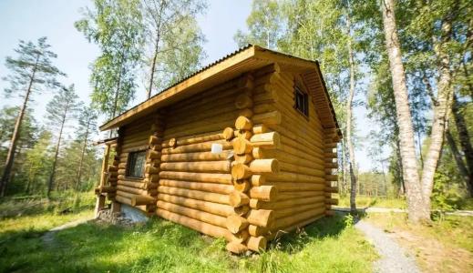 Берлога - 12