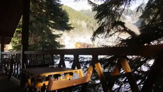 Дом мечты - 53