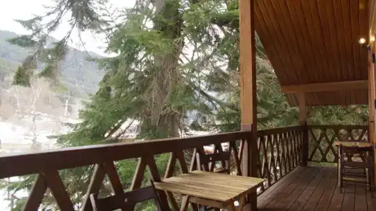 Дом мечты - 54