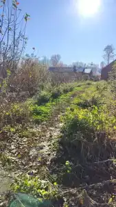 Кержатские палаты - 14