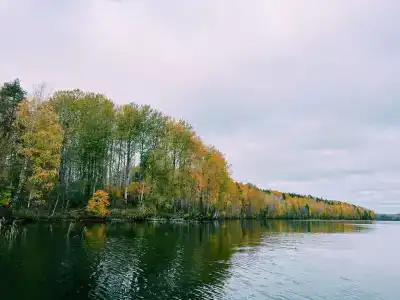 Лунный свет - 4