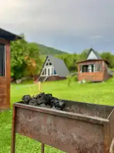 Каприз - 31