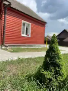 Усадьба Мирский Посад - 15