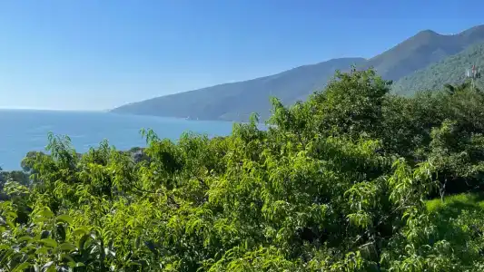 У Клары - 3