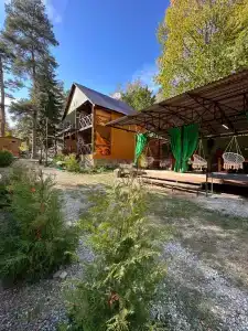Тайга House - 113