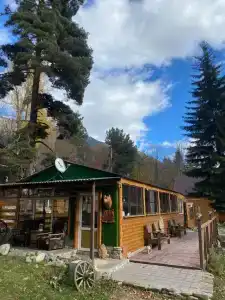 Тайга House - 116
