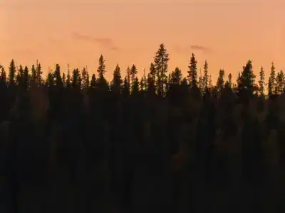 Кускас - 8