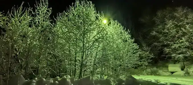 Кускас - 22