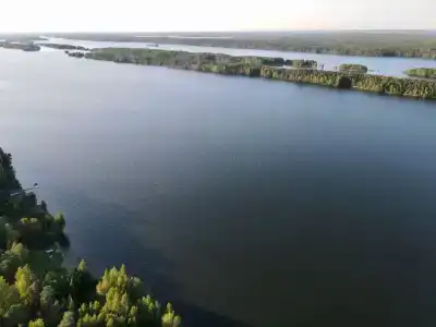Царевичи - 5