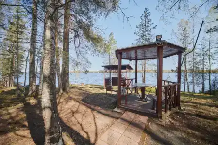 Царевичи - 17