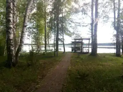 Царевичи - 21