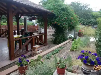 Номера на Мичурина - 0