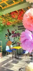 Бонум - 6