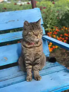 Дом на Виноградова 16 - 3