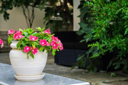 Екатерина - 7