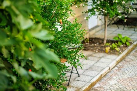 Екатерина - 9