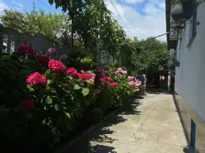 Guest House Family - 1