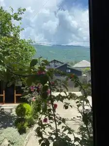 Guest House Family - 12