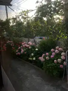 Guest House Family - 15
