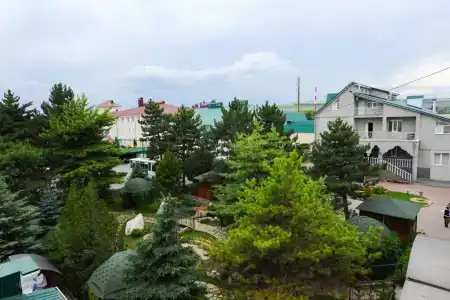 Эдельвейс - 13