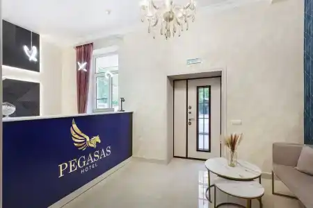 Pegasas - 4