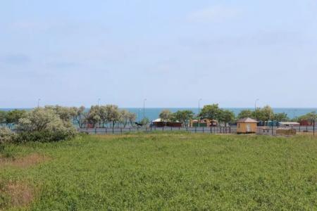 Ангелина - 11