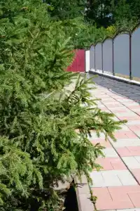 Мини-отель у Марфуши - 5