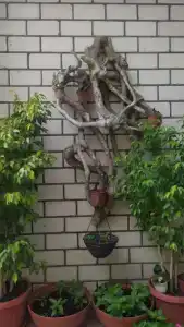 Guest House Elpida - 4