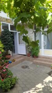 Guest House Elpida - 6