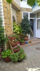 Guest House Elpida - 9