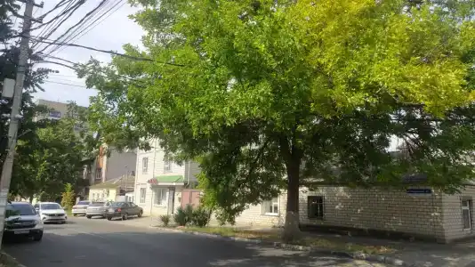 Guest House Elpida - 3
