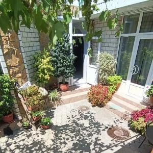 Guest House Elpida - 35