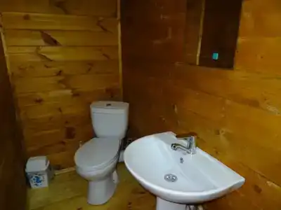 Три тополя - 11