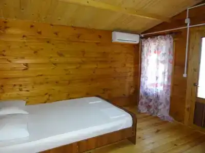 Три тополя - 12