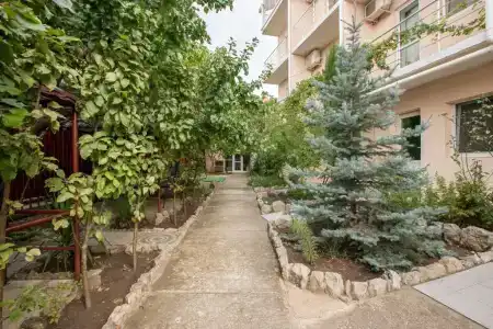 Астра - 22