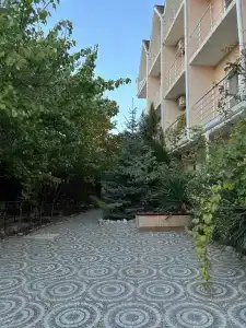 Астра - 15