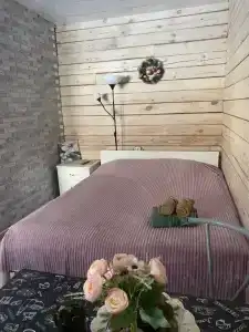 Лужники - 29