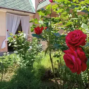 Лето - 3