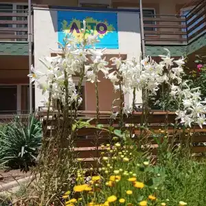Лето - 4