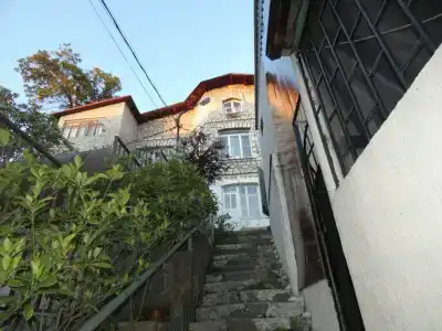 Елена - 1