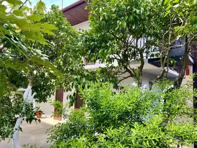 Стрелец - 6