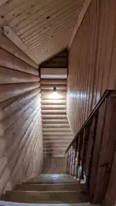 Сосновые дома - 118