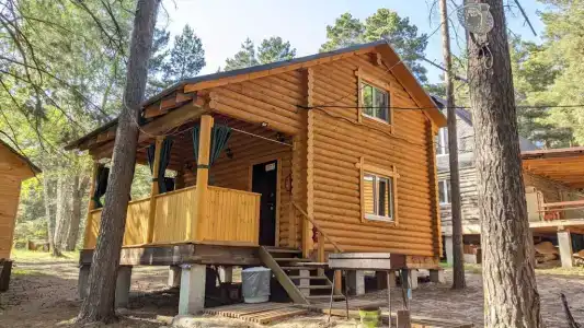 Сосновые дома - 124